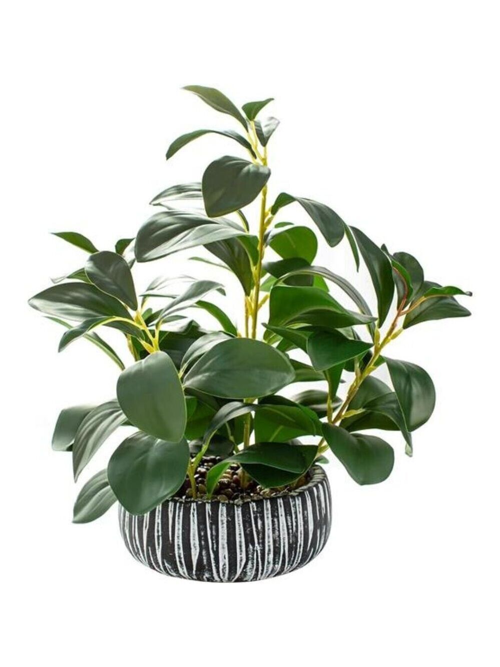 Fake Succulent Plant in Black Clay Pot Faux Greenery Decor for Shelf Desk Home